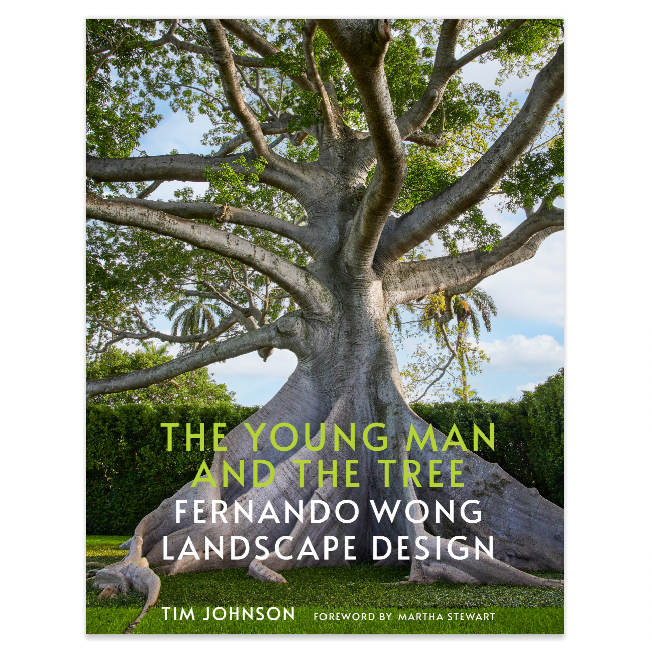 The Young Man and The Tree, Fernando Wong Landscape Design - Signature Edition