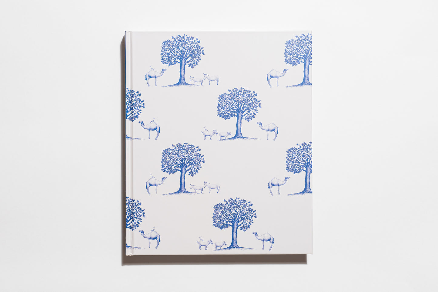 Katie Ridder: More Rooms – Signature Edition