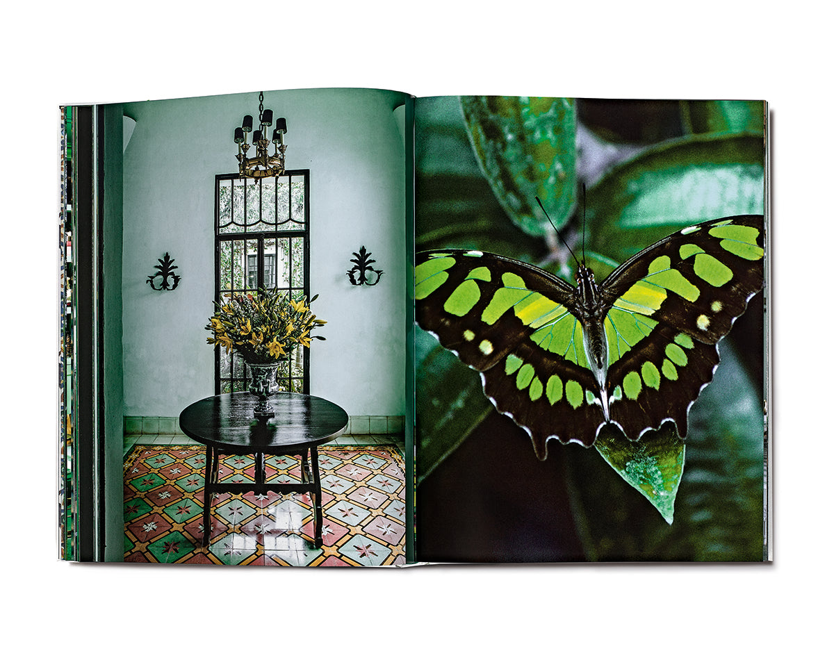 G: Forever Green - Signature Edition