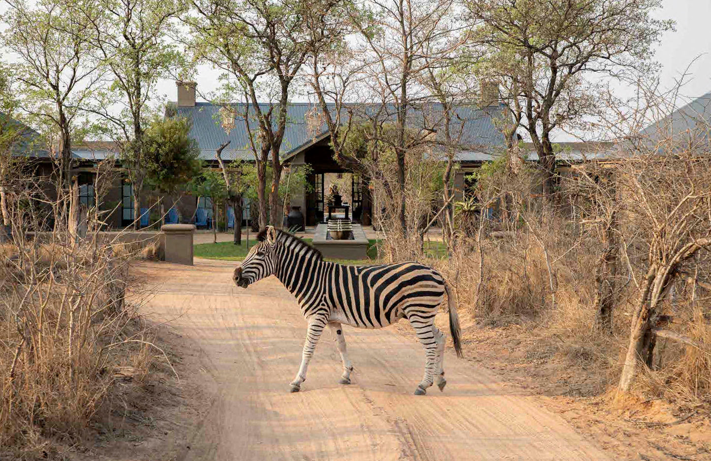 Safari Style: Exceptional African Camps and Lodges – Signature Edition
